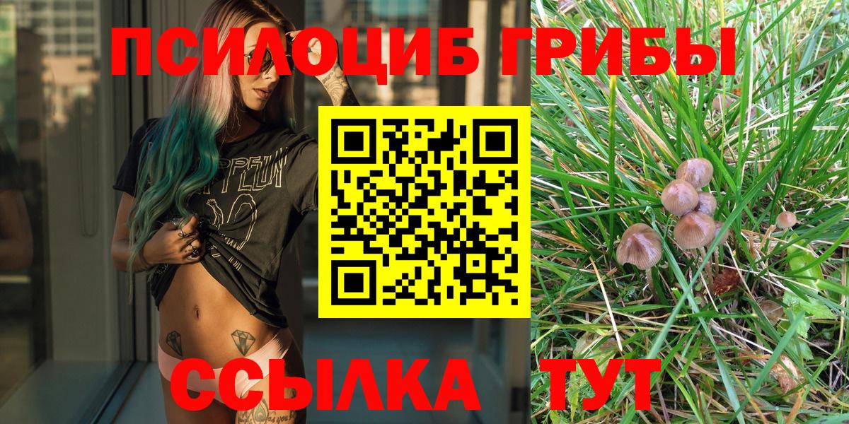 Псилоцибиновые грибы Cubensis  Вход с VPN  Новоуральск  Галлюциногенные грибы прущие грибы 